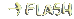 flash